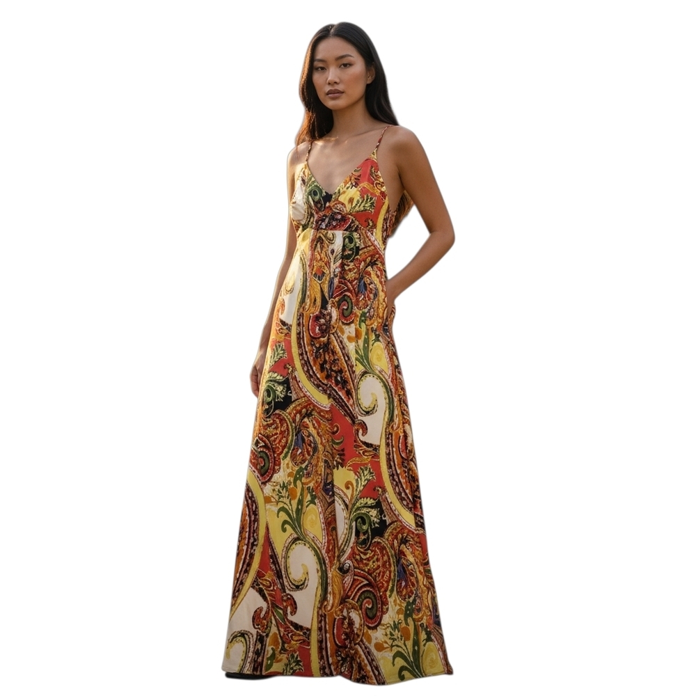 Alyn Paige Paisley print maxi dress size Small